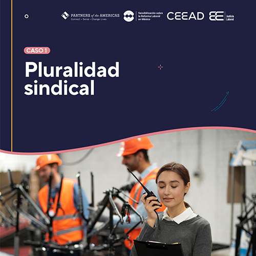 Casos de estudio